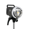 Godox MS300 V Studio Flash Package