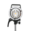 Godox MS300 V Studio Flash Package