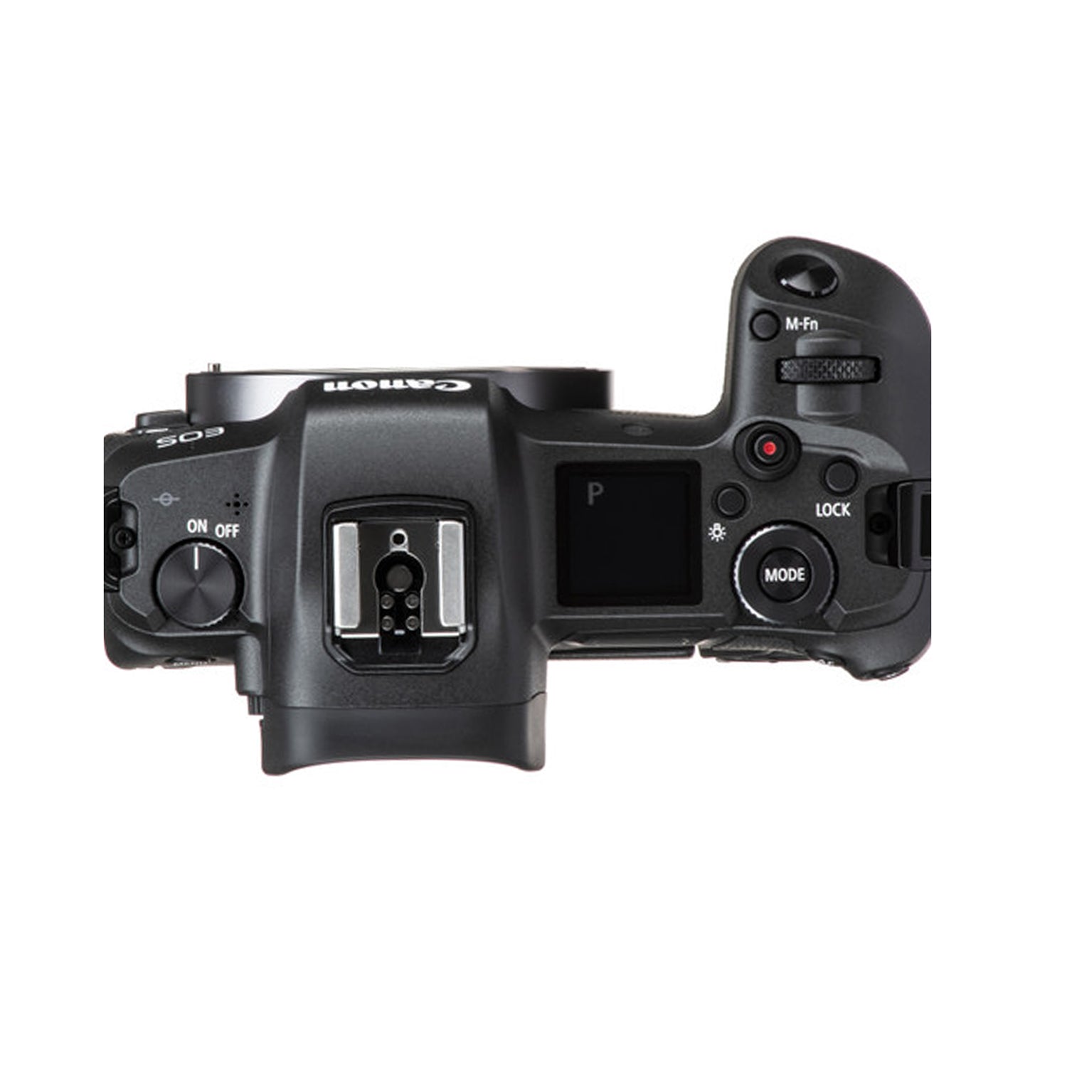 Canon EOS R Body Only – Specialist