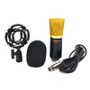 Taffware BM-700 Pro Condenser Microphone