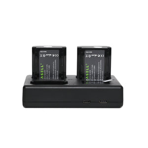 Casell Battery & Charger NP-FZ100