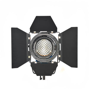 Fresnel Spot Light 1000w