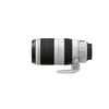 Canon EF 100-400mm f/4.5 - 5.6 L IS II USM