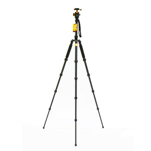 Beike QZSD-668 Tripod Monopod