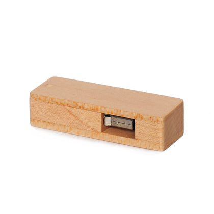 USB Flashdisk 16GB