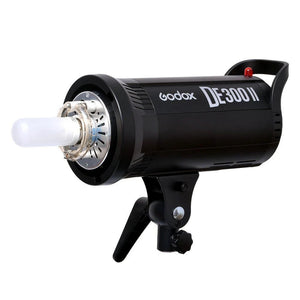 Godox DE300 II Studio Flash Strobe Package